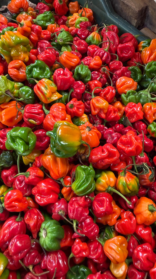 Where Heat Meets the Market: How We Look for Ingredients at Kaaram OK Please