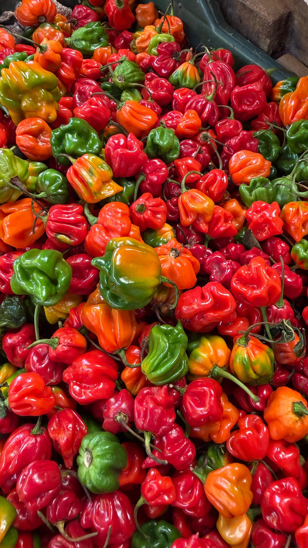 Where Heat Meets the Market: How We Look for Ingredients at Kaaram OK Please