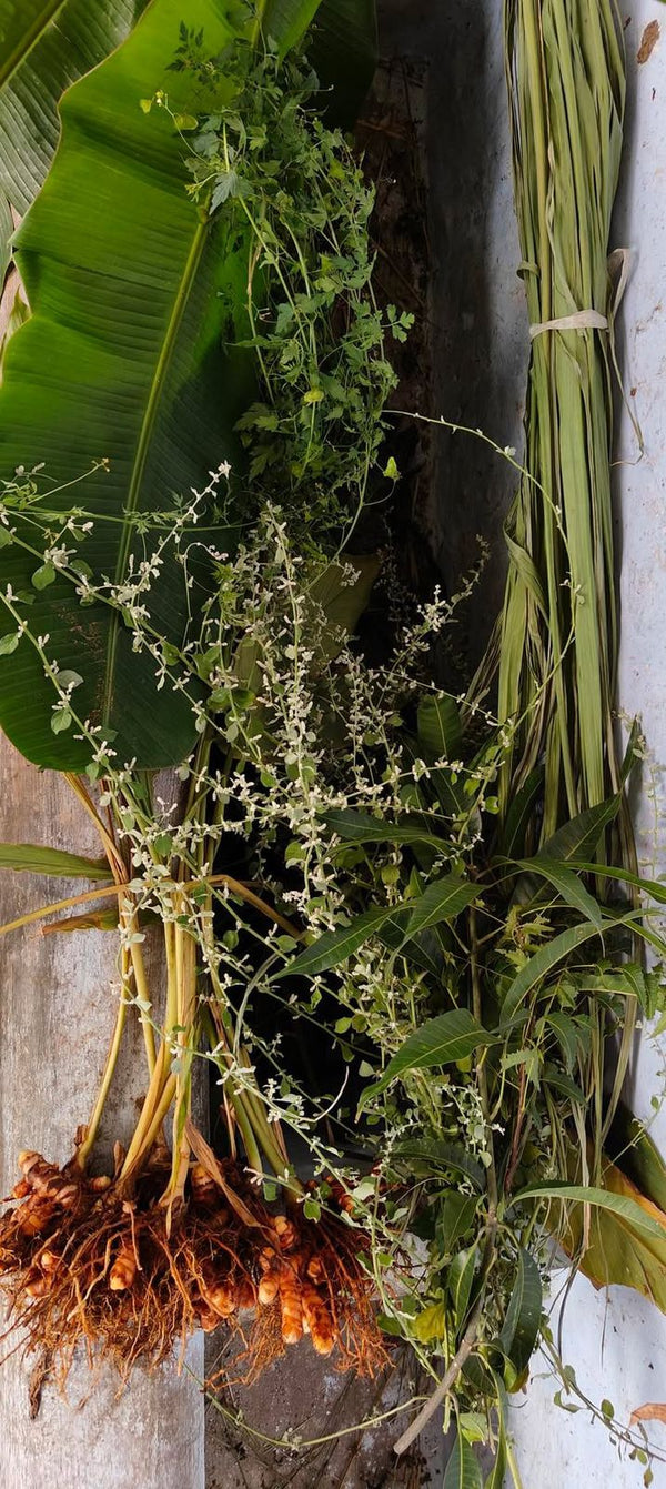 Why Pongal Matters - To Tamil Nadu, and to Us