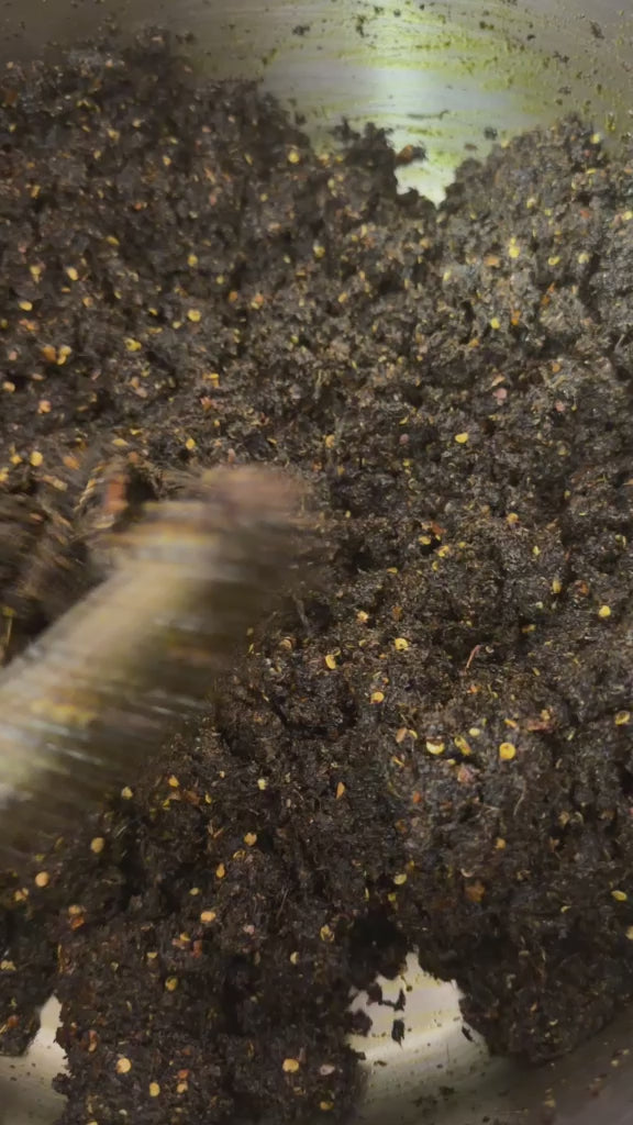 Delta Tang - Texture Video