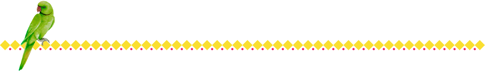 Bottom Border Pattern with Parrot