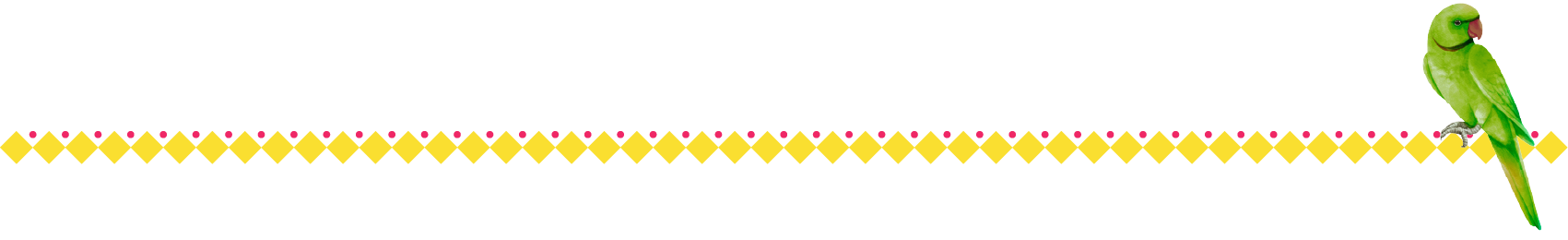 Top Border Pattern with Parrot